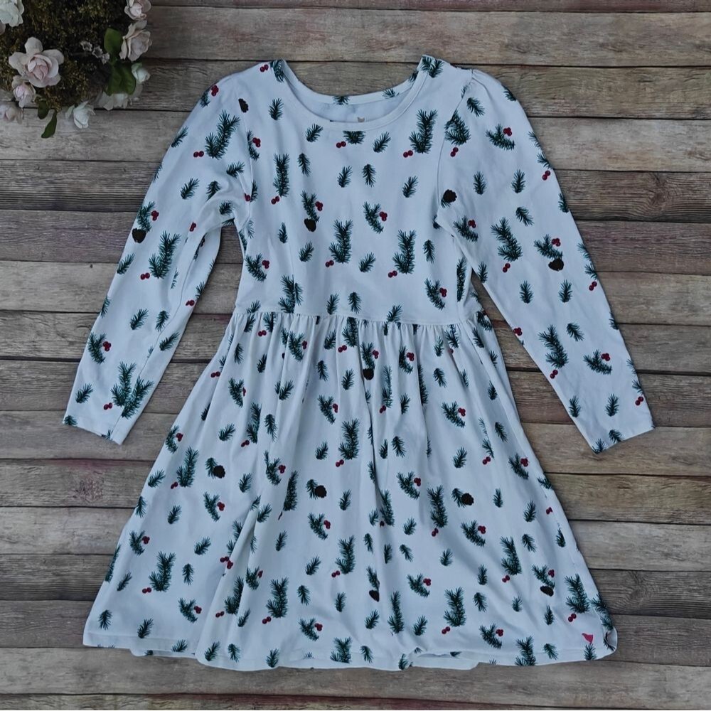 Pink Chicken New York Pine & Cranberry Organic Girls Dress Size 10
